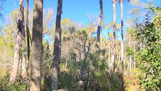 Salt Marsh Trails - Crystal River Wildlife Refuge Complex Trailhead