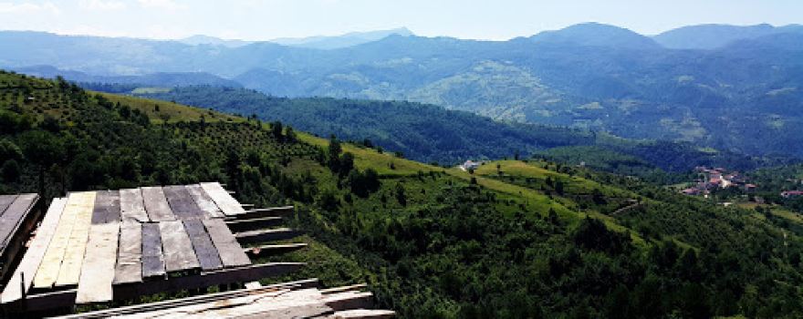 Aydinyayla Koyu Muhtarligi