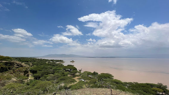 International Campsite