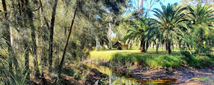 Dingo Creek Bicentenial park