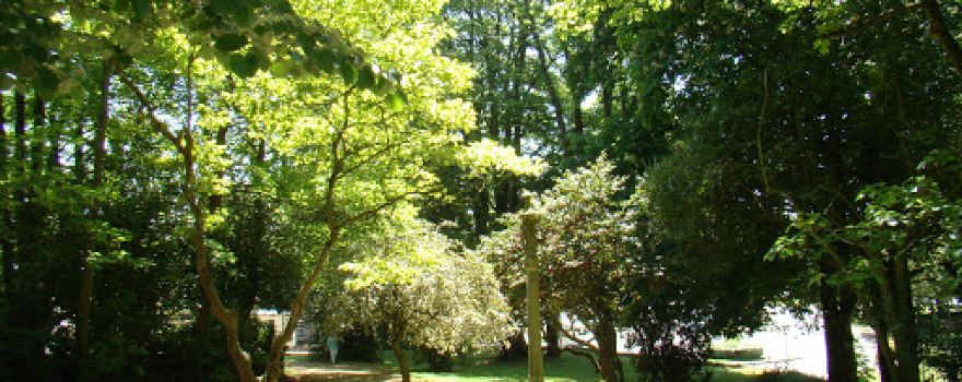 Espace Culturel Lucien Prigent