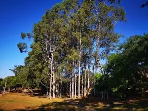 Parque Ecológico