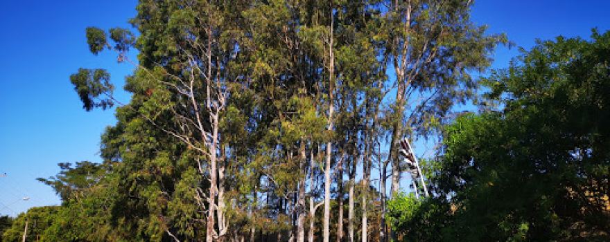 Parque Ecológico