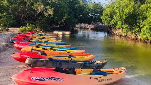 Eco Adventures Kayaks