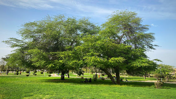 Al Sadaqah & Al Salam Park