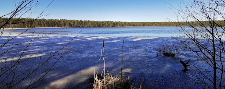 Mustjärve Laudrada