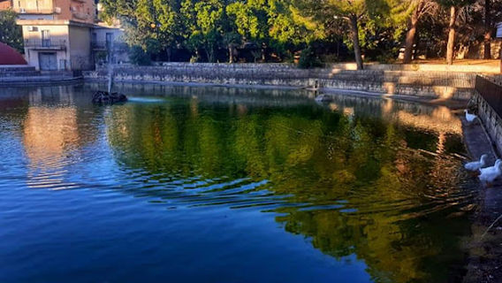 Villa Falcone