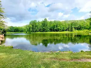 Allegany State Park - Quaker Area