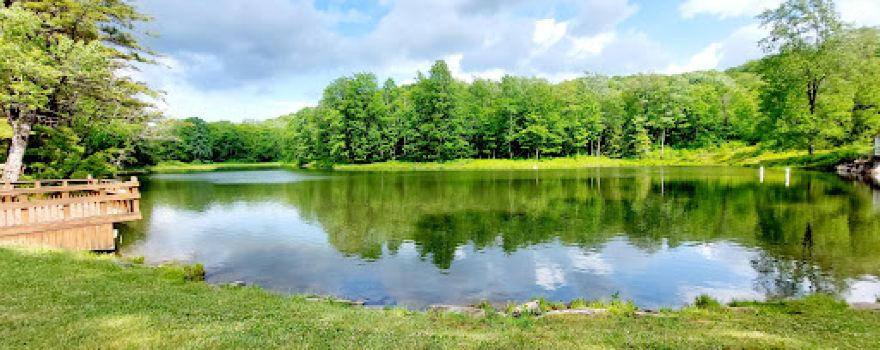 Allegany State Park - Quaker Area