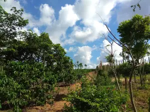 Hồ Ea Knôp
