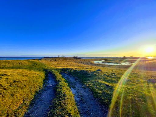 Glænø