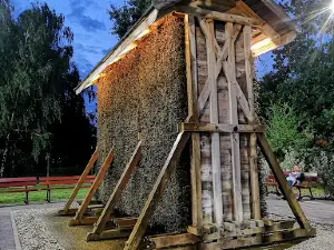 Centrum Aktywności Fizycznej
