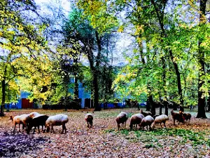 Park Mis