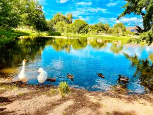 Kiwanis Park