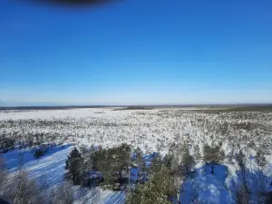 Teiču Dabas Rezervāts, Skatu Tornis