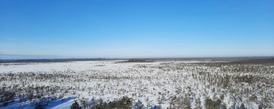 Teiču Dabas Rezervāts, Skatu Tornis
