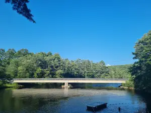 Riverside Pines