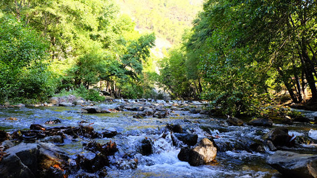 Yeşilvadi Doğa Park and Campground