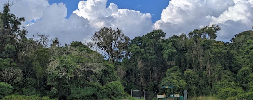 Westcott Camping Area