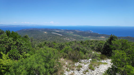 Opcina Komiza