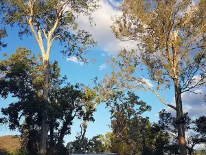 Bigriggen Park
