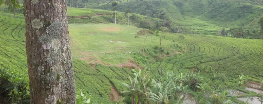Multipurpose Building Pelaben