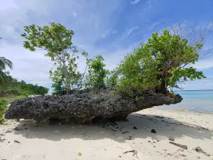 Batu Payung