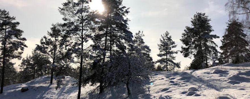 Rinntal bei Alfeld