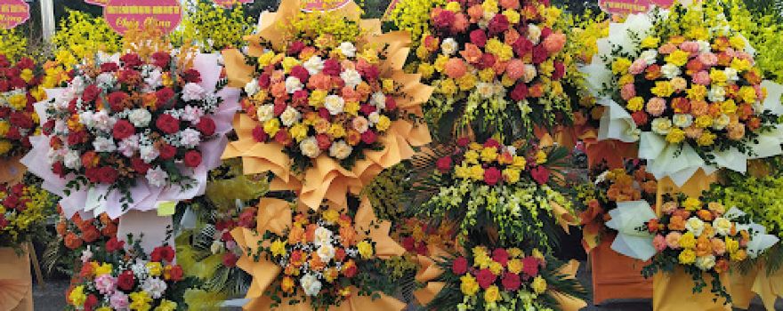 Quảng Trường Huyện Việt yên