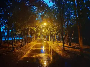 Willow Park