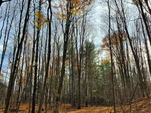 Bruce County Carrick Tract Trails