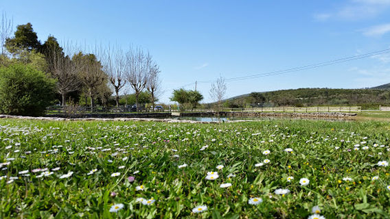 Parque de Merendas Alvados
