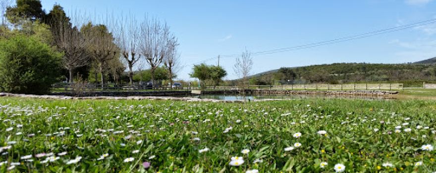 Parque de Merendas Alvados