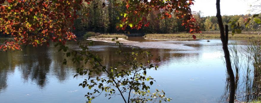 Gales Pond County Park