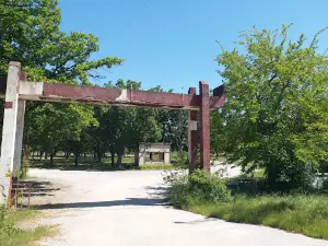Kırklareli Urban Forest
