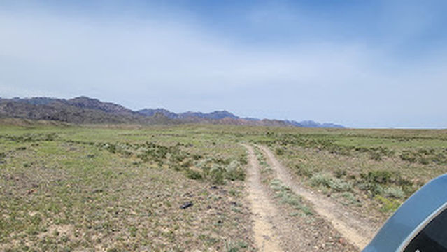 Tanbalytas petroglyphs