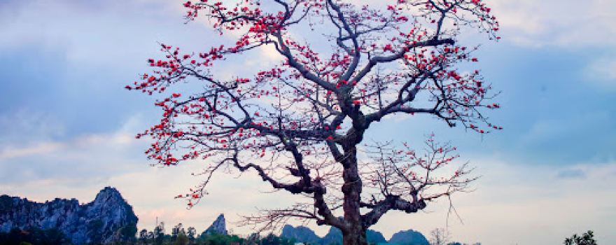 sông Nga Điền