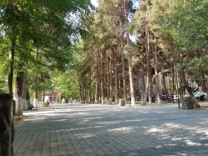 M. Ə. Sabir bağı