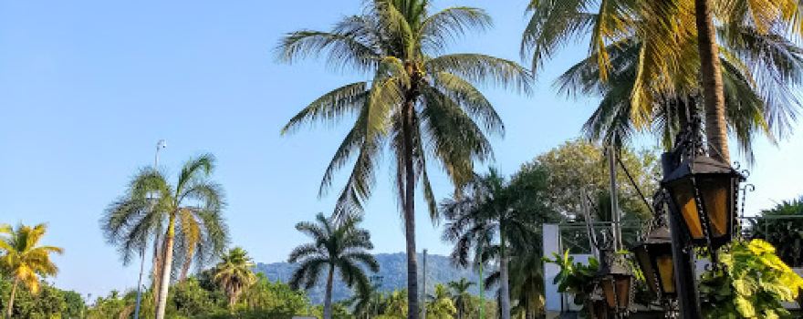 Letras IXTAPA