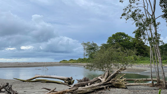 Reserva Playa Tortuga