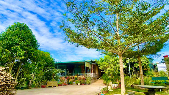 Ninh Gia