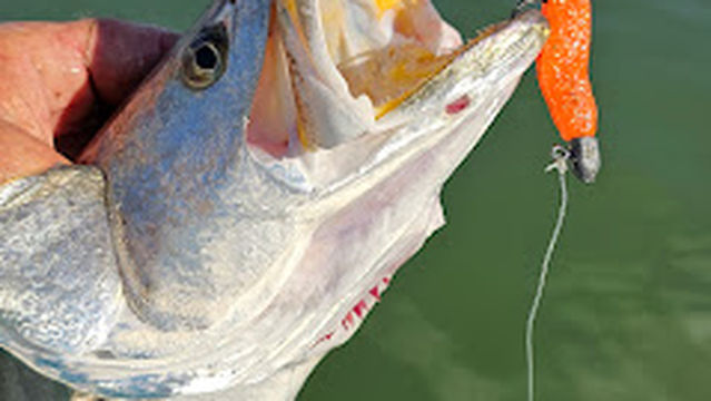Crystal Flats South Padre Island Fishing Guides