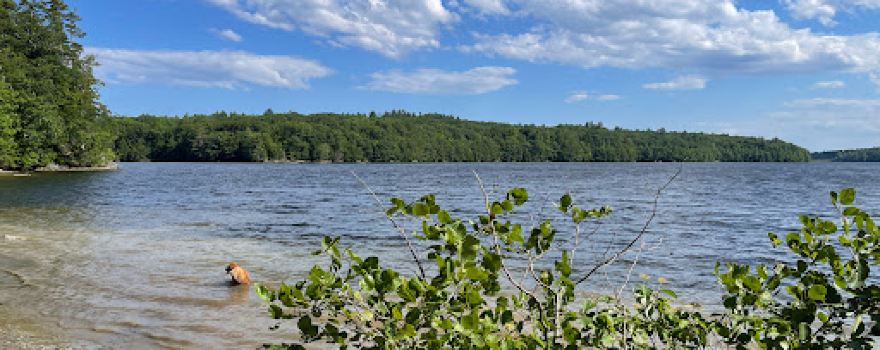 Pleasant Point Park