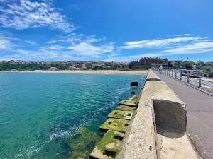 Ereaga hondartza