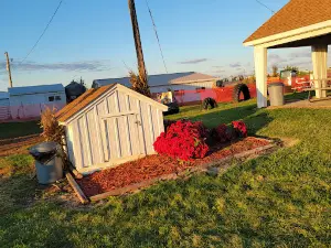 Uncle Bill's Farm