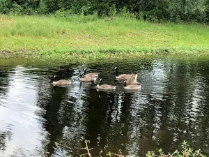 Heron Lakes Country Club