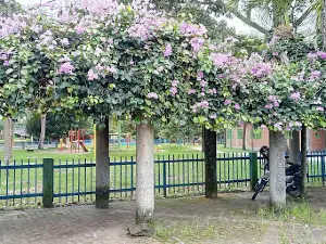 Parque Principal de San Lorenzo