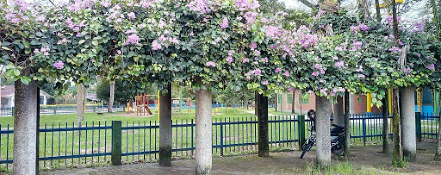 Parque Principal de San Lorenzo