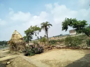 Mannat Lawn