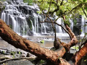 Purakaunui Falls Walk